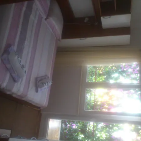 Apartment Pepica
